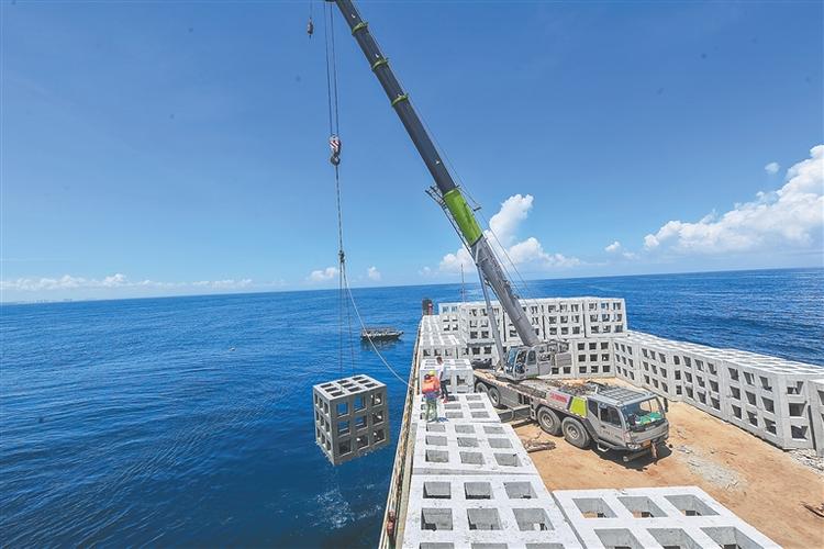 文昌冯家湾海洋牧场建设项目在投放人工鱼礁.